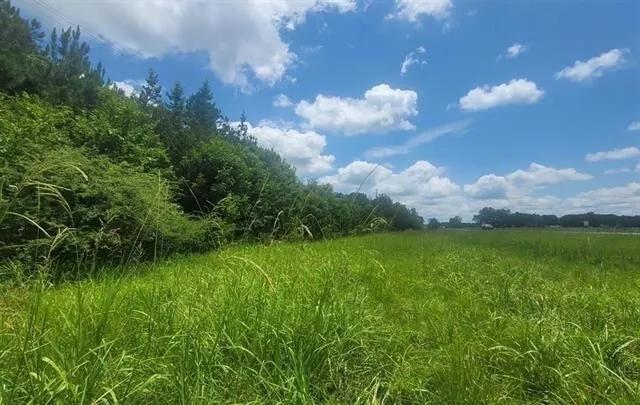 13.52 Acres at 0 Hwy 280