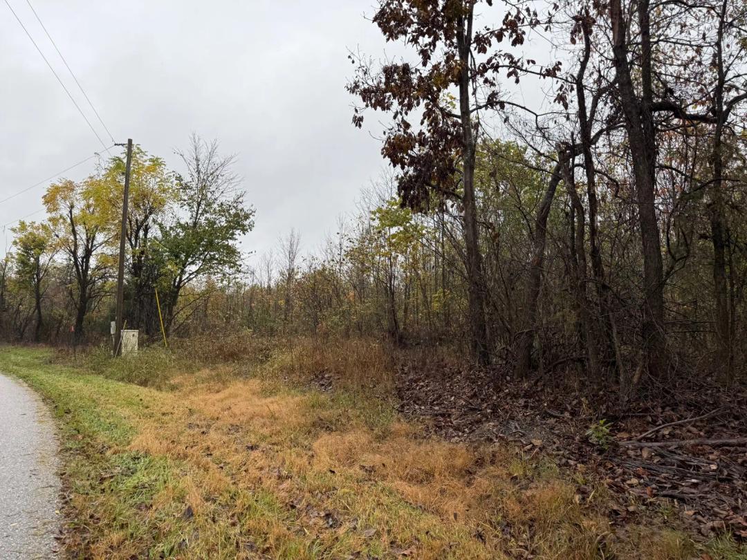 10 Acres +\- Wooded Rural Land BORDERING HOOSIER FORESTRY!