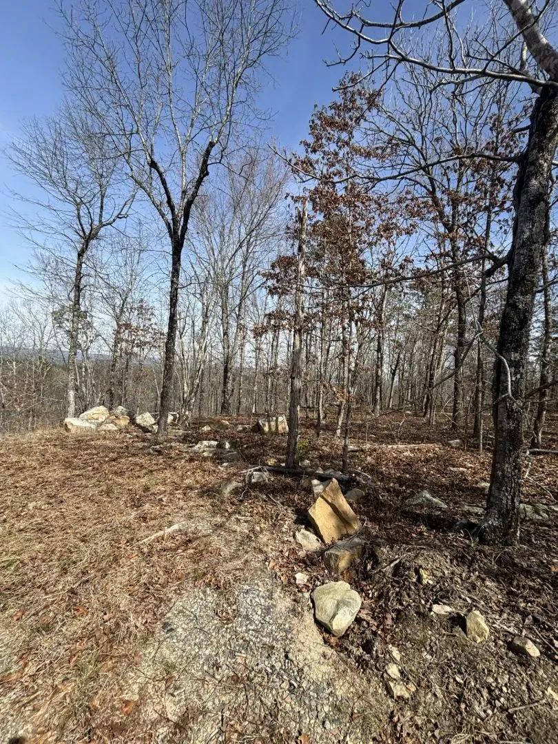 Off-Grid Cabin on 5 Acres in Leflore County, OK