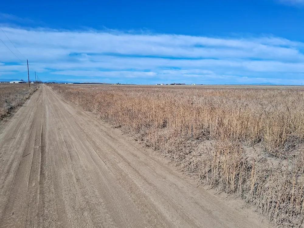 205.3 Acres Near Avondale, CO