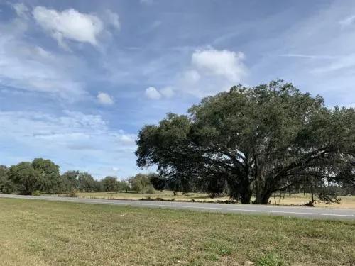 39-acres-with-large-road-2