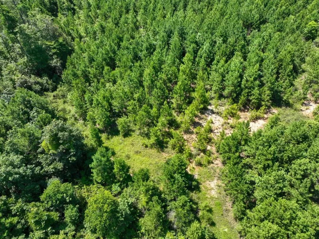 7 Acres | T-10 | Carters Ferry Road | 1007