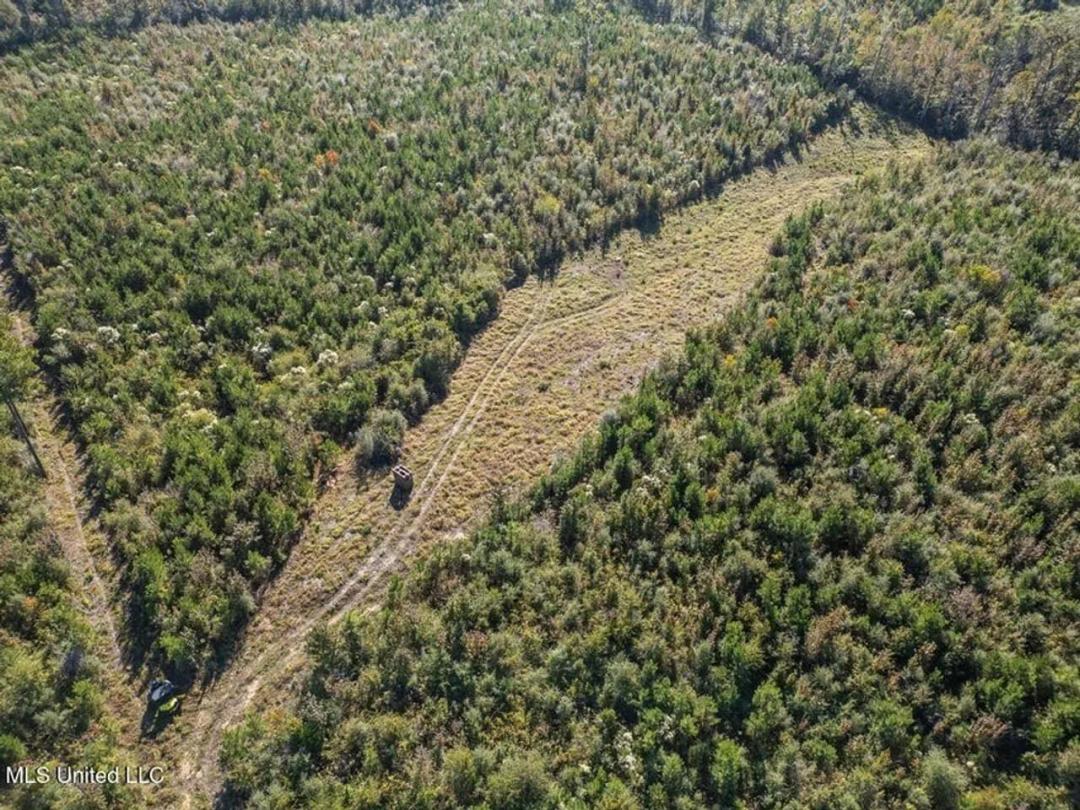 113 Acres of Hunting Land in Liberty, Mississippi