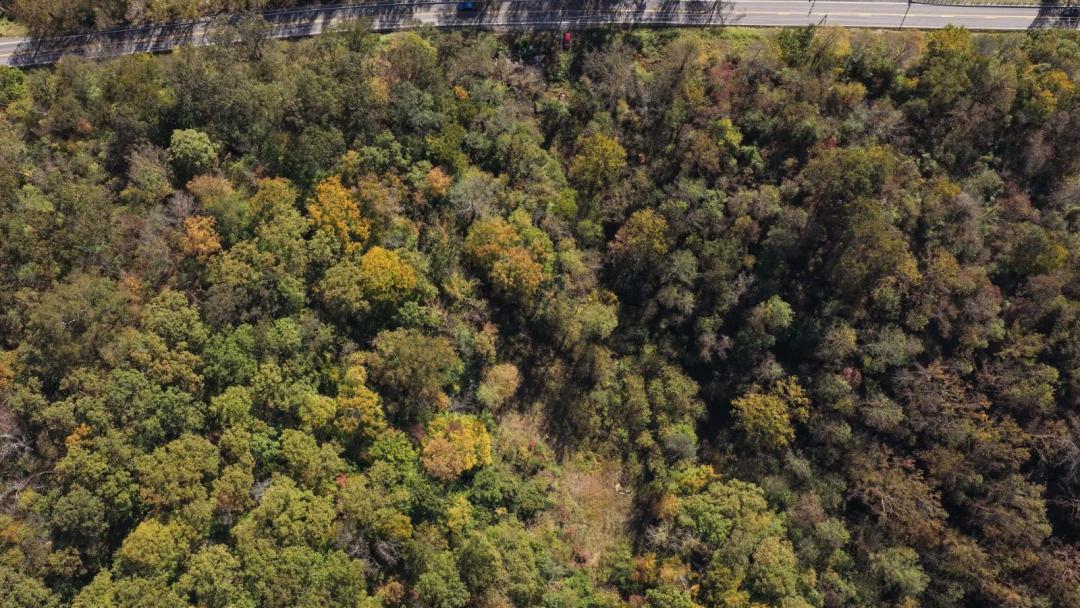 97.1 ACRES w/ FREE GAS NEAR BURNSVILLE