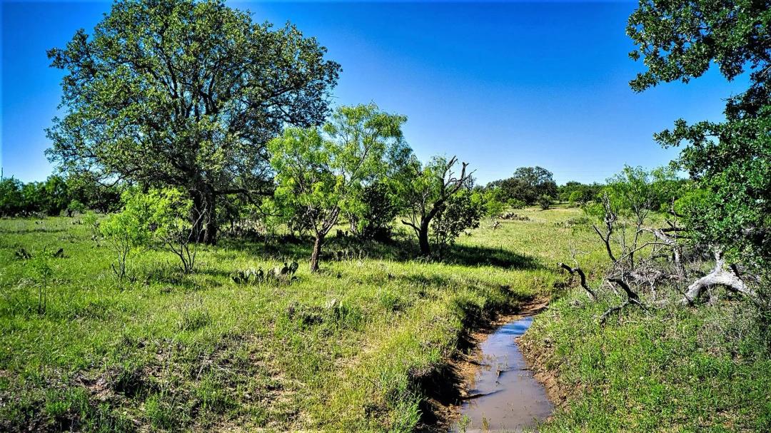 90 Acre GS Ranch, Mason County, Texas