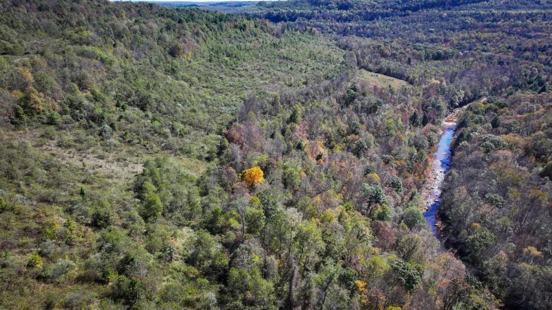 Private 112.52 Acre Hunting & Recreational Paradise Near Windber