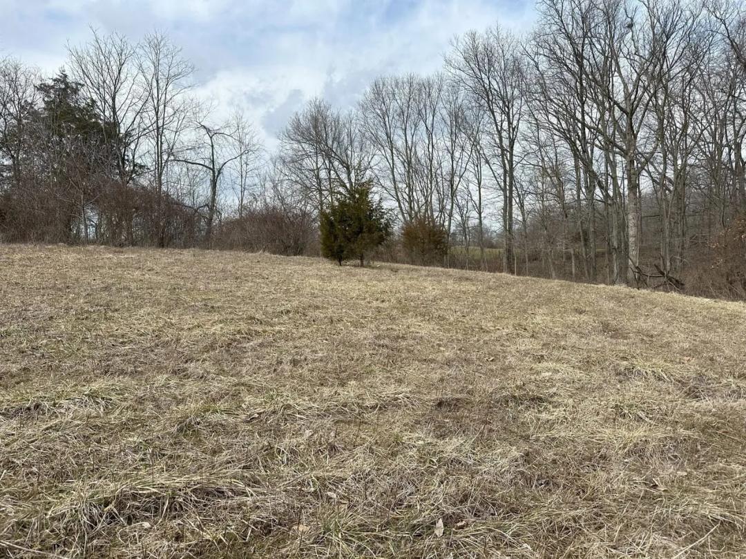 17 acres - Brown County
