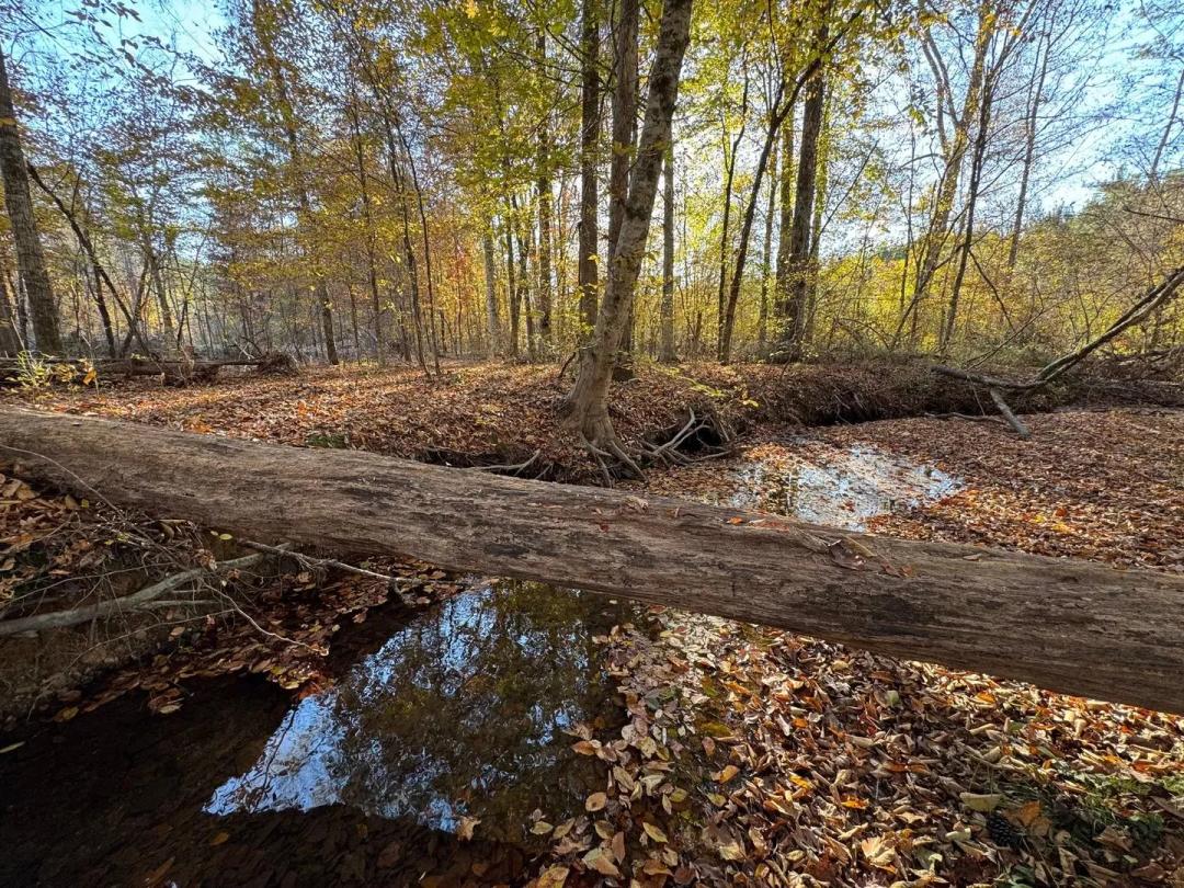 20.92 Acres, Germany's Ferry Road, Daviston, Tallapoosa County