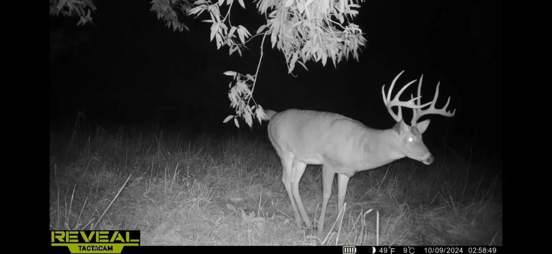 Premier 69± Acre Hunting and Recreational Property – Marion County