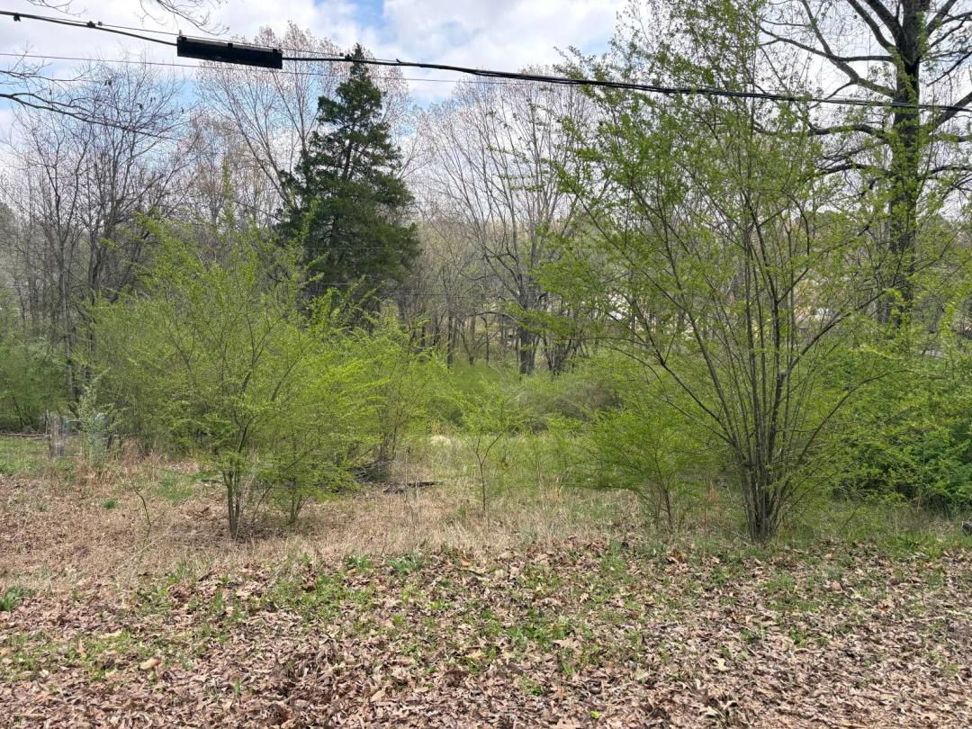 0.66 Acres at TBD Millcreek Rd.