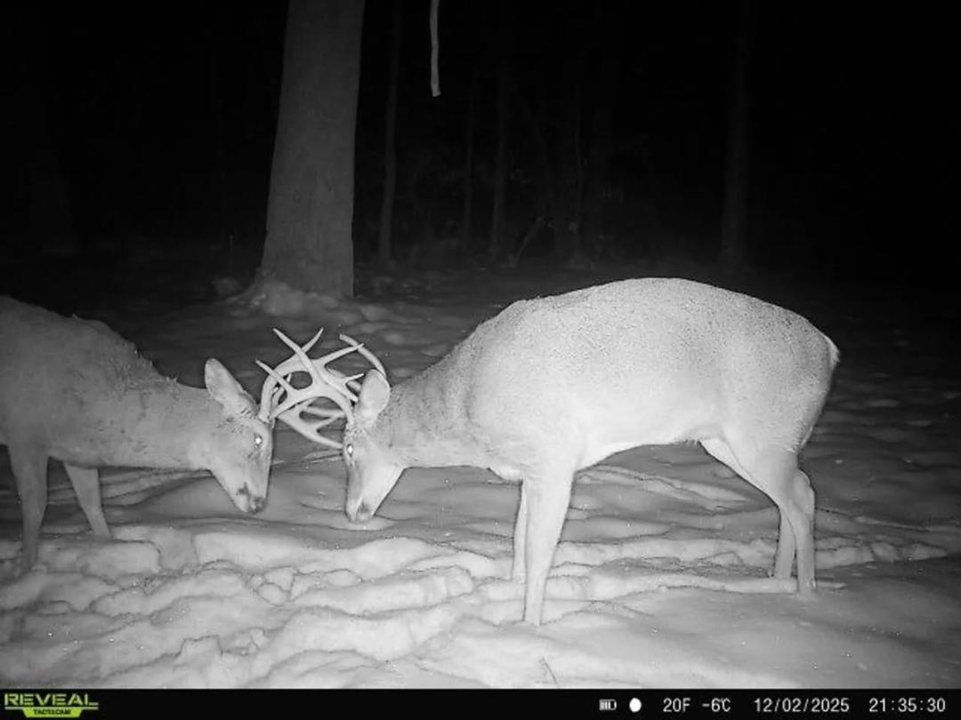 Cass County IL 10 acres great deer and turkey hunting!