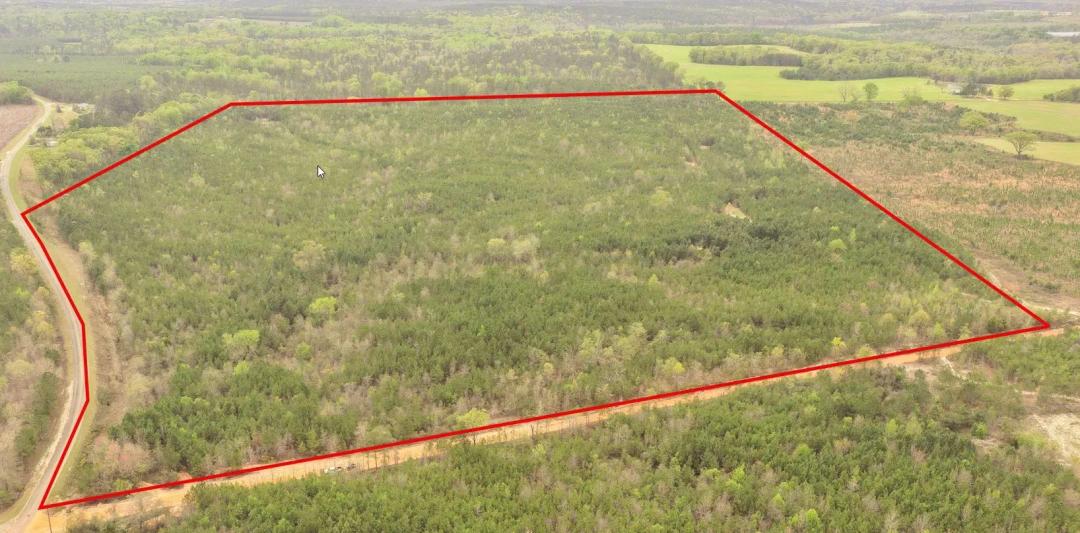 93.425 acres in Marion County, just north of Buena Vista.