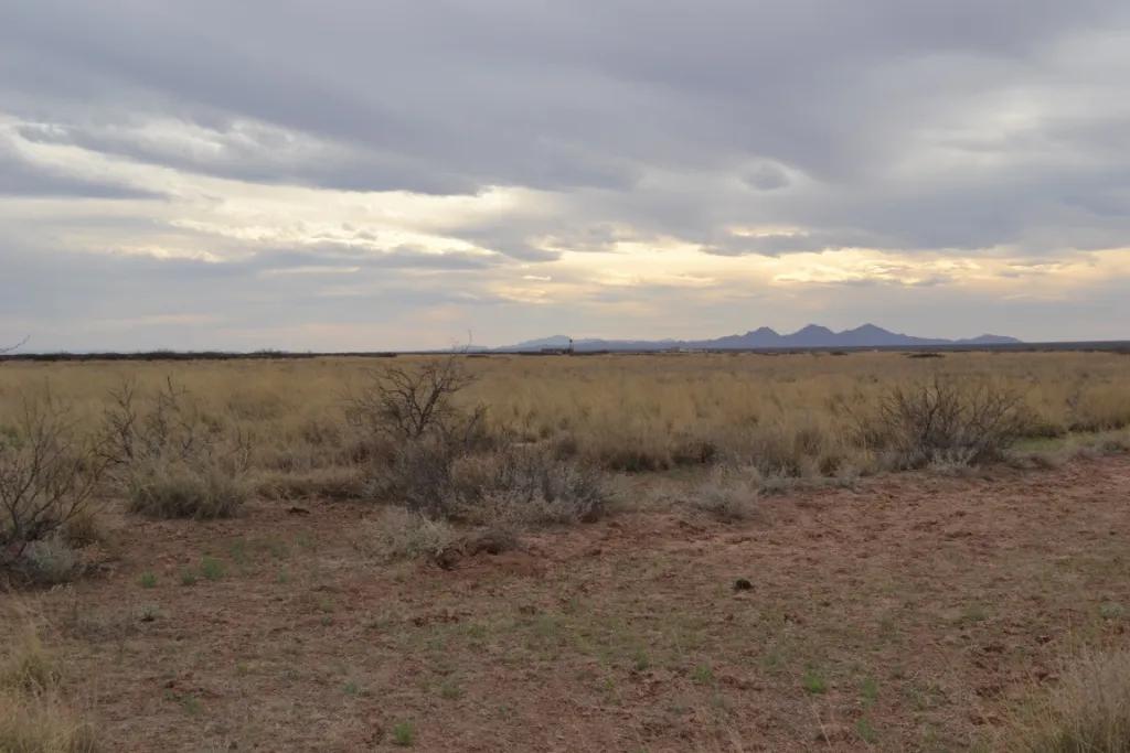 Residential Building Site (4 lots) 2 acres - Southern New Mexico Land