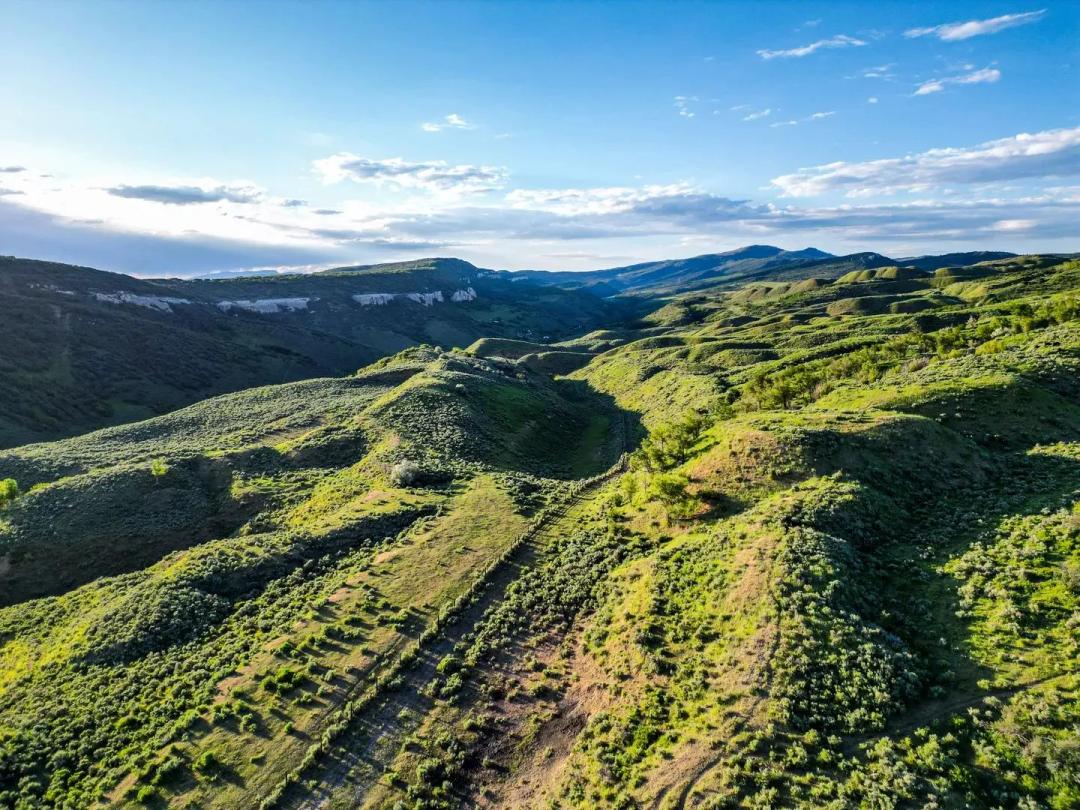Buffalo K Ranch