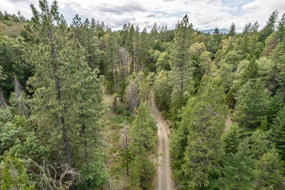 40 acres of Recreation Land!#220165000