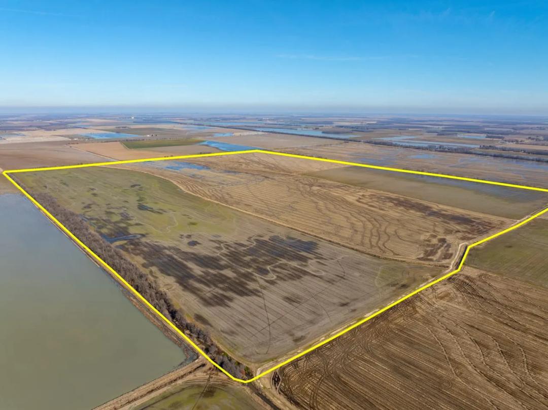 513 +/- Excellent Row Crop, Duck & Goose Hunting Property, Cross County, Arkansas