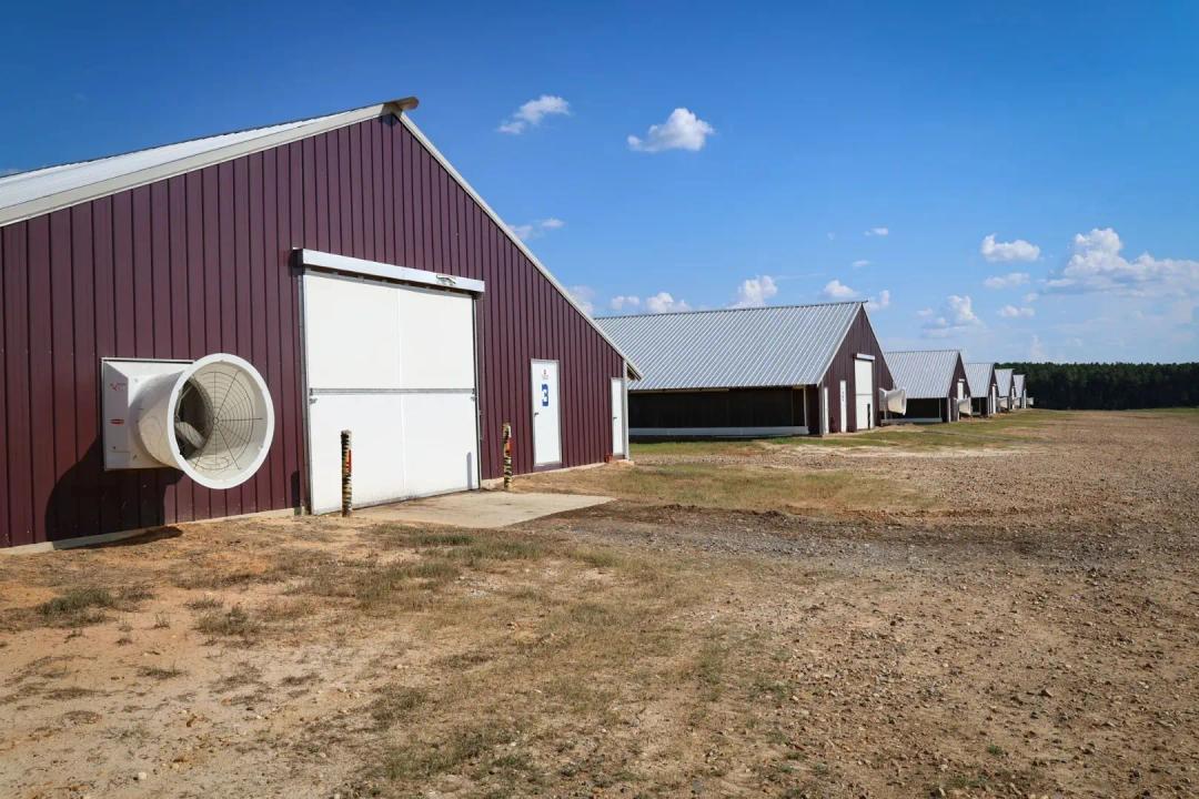 40 Acres Broiler Farm in Union Parish, LA