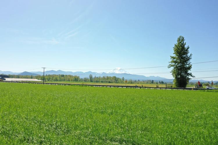 17 acres in Enumclaw!