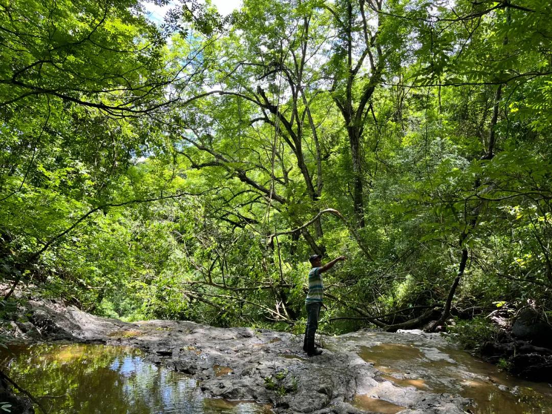 Finca San Gerardo - 41 Hectares With Waterfall in Costa Rica