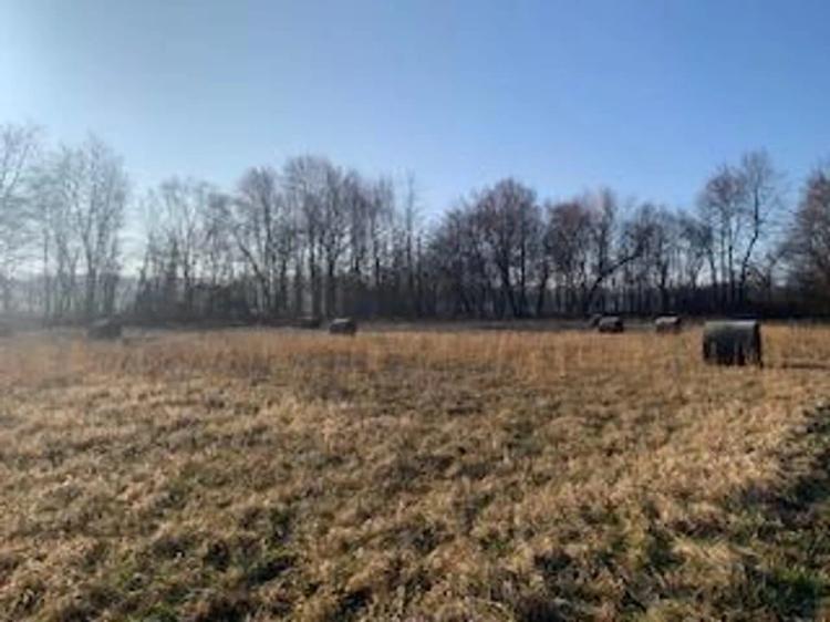 Land For Sale in Greene County, IN 6 Acres +/-