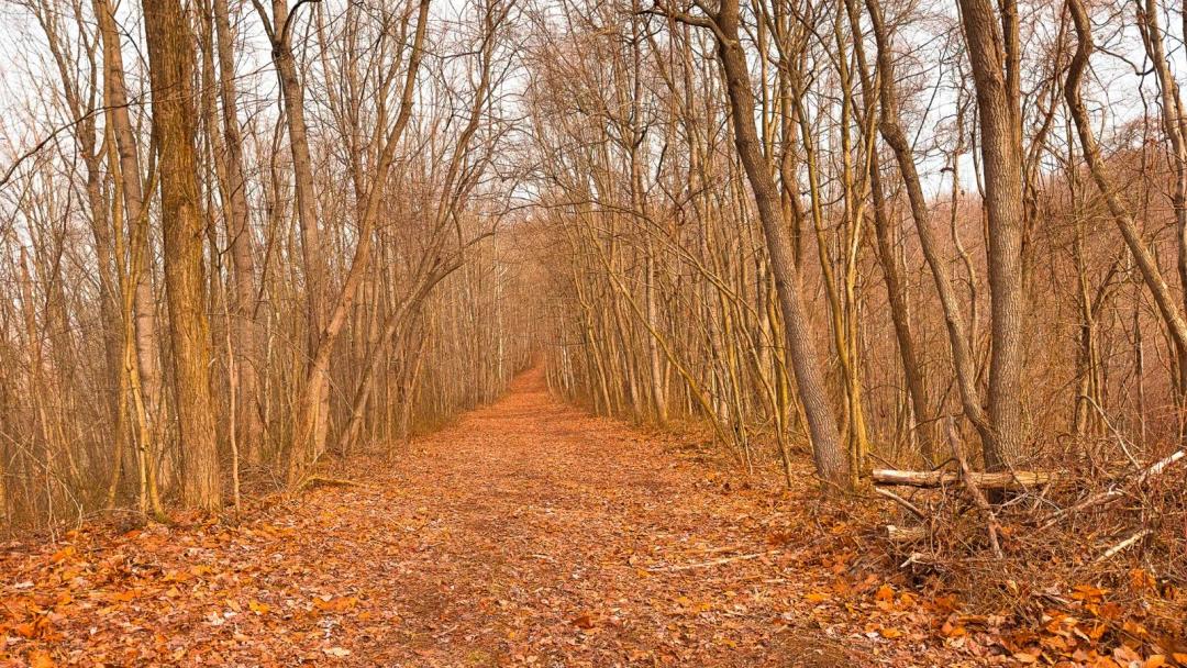 Vinton County Ohio Land For Sale