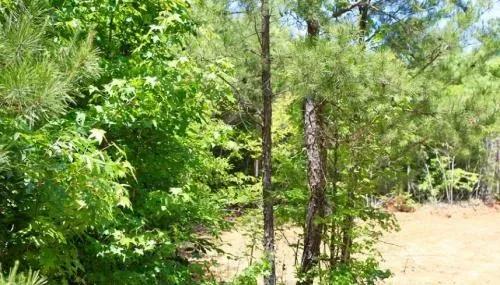 Tennessee, Decatur County, 5.7 Acre