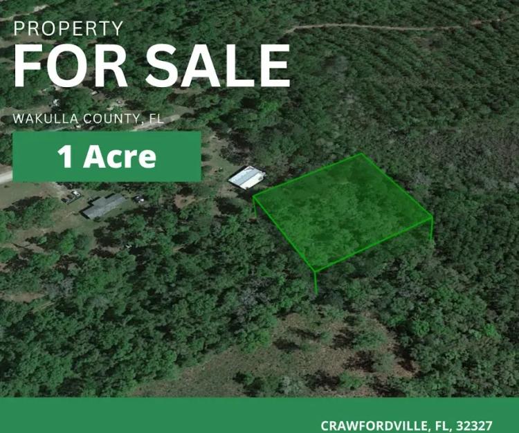 1 Acre Hot Deal in Wakulla, FL - Seize the Opportunity to Begin a Serene Life Away from Urban Noise!