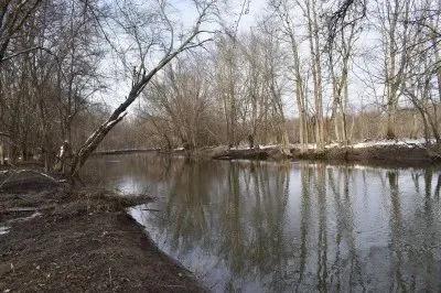 Cassadaga Creek Gem