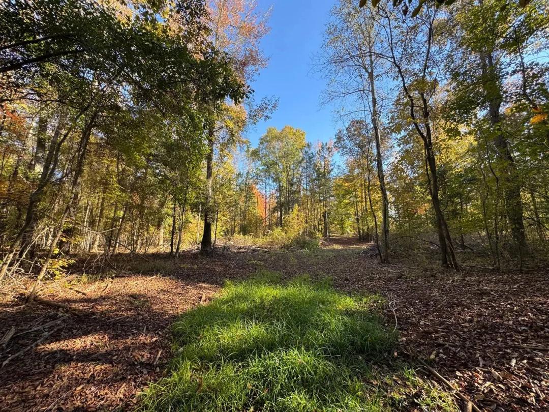 11.34 +/- Acres, Camp Hill, Tallapoosa County, AL