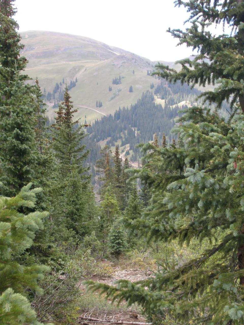 Historic Patented Mining Claim * San Juan Mountains Colorado