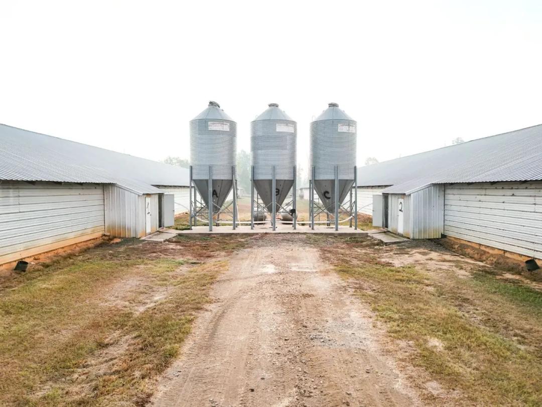29.37 Acres in Natchitoches Parish, LA