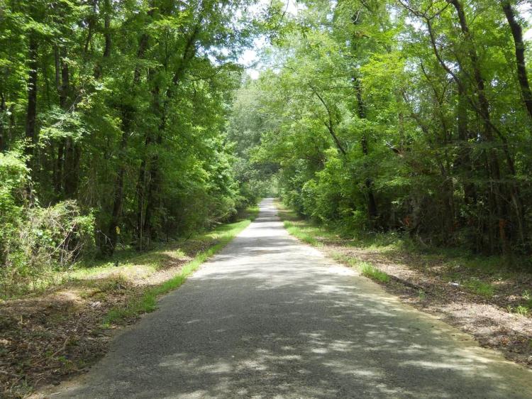 1152+/- Acres of Hunting Land in Jefferson County, Mississippi