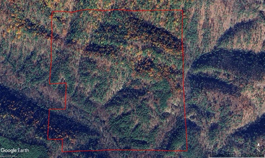 157 Acres Surrounded by State Land, Smithville OK