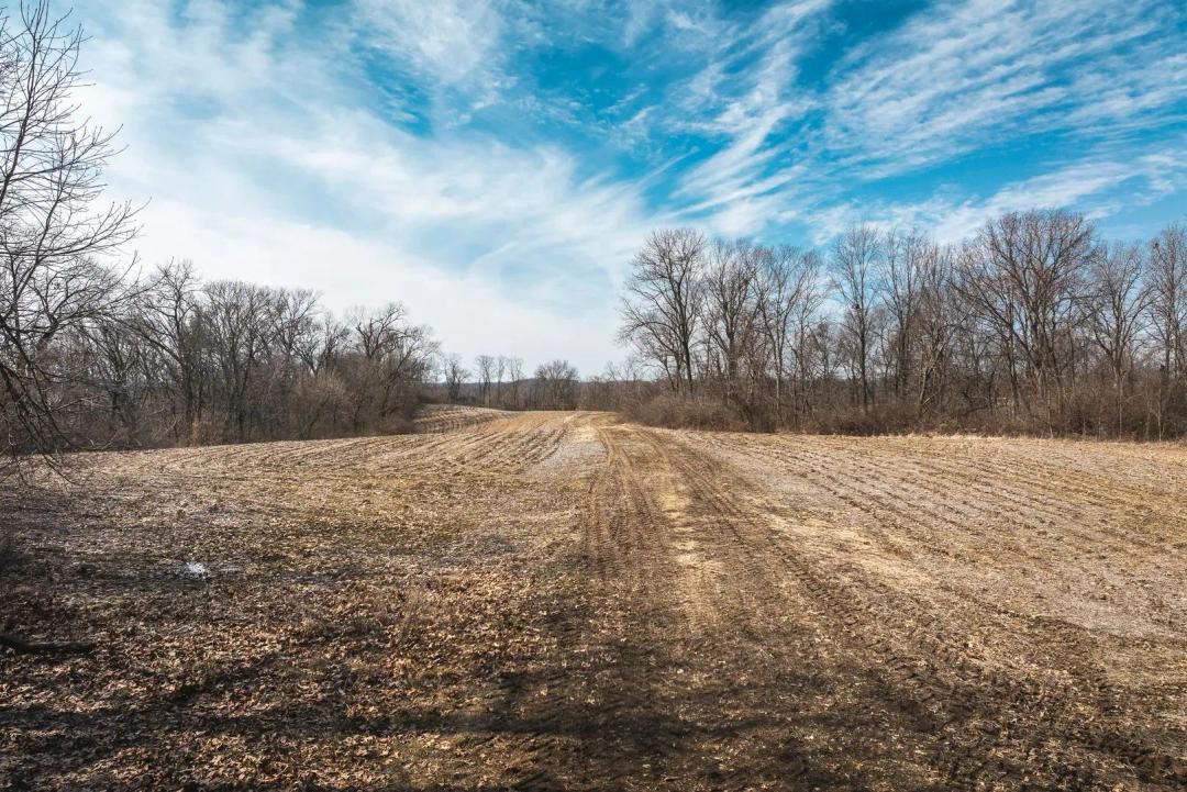 Beaver Lake Rd, Grafton, IL