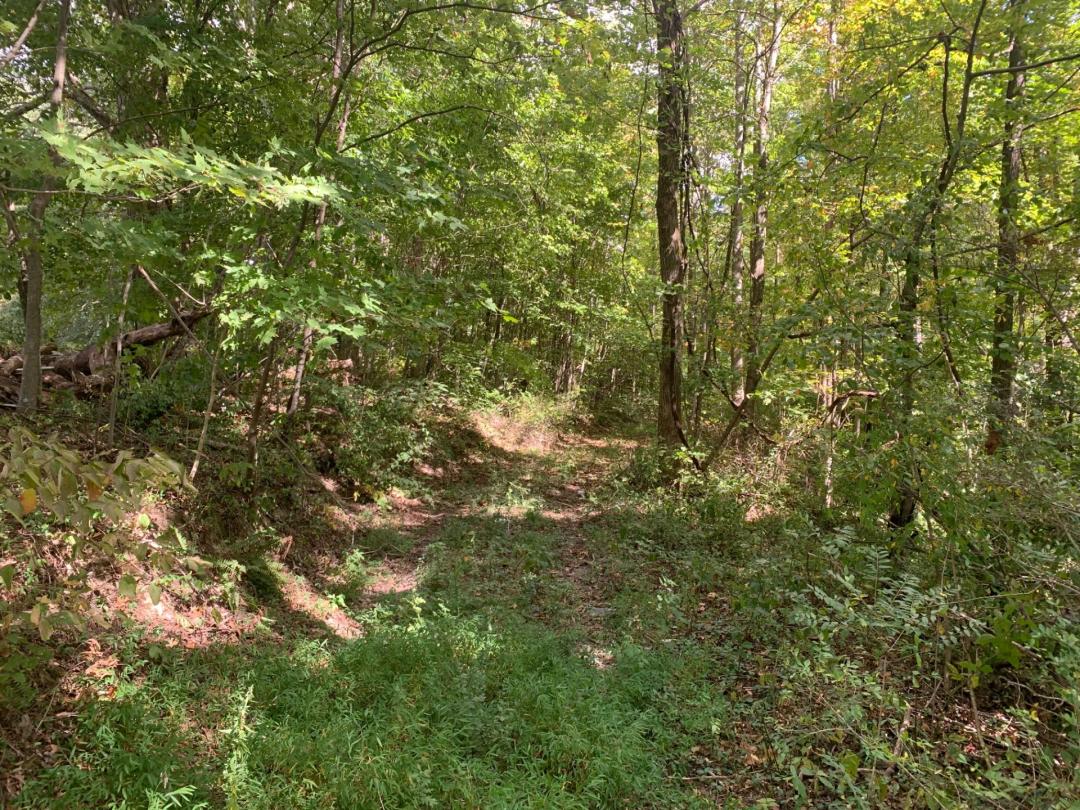 8.44+/- ACRES - BLDG. SITES - OPEN & WOODLAND - LIBERTY, KY