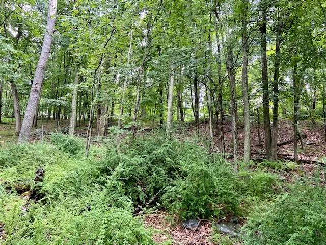 0.31 Acres at 158 Ruffed Grouse