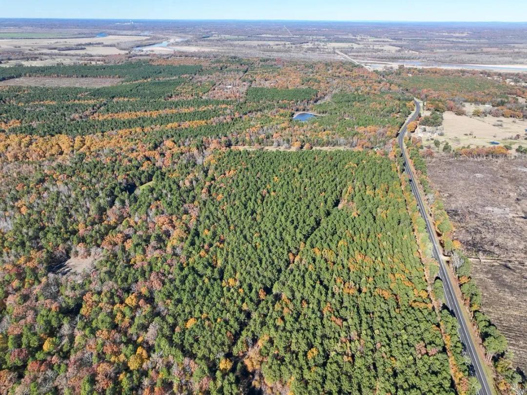 21 Acres | Hwy 37 | T-5 | Kiskadee