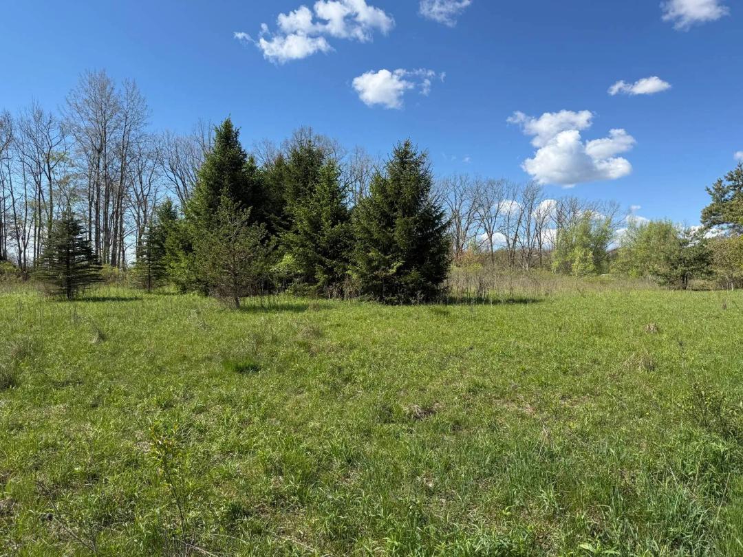 Unique Property With Recreational and Building Potential