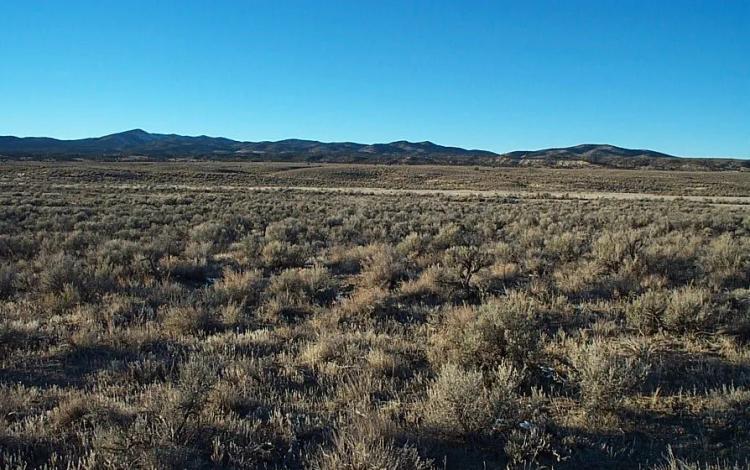 Remote Quiet Nevada mini ranch land  * No Pollution * Few People