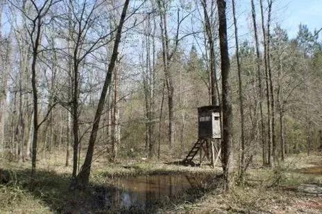 83.5 Acres in Madison County in Carthage, MS