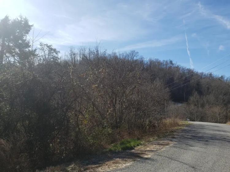 1.31 Acre Mostly Level Building Lot with Norris Lake Access