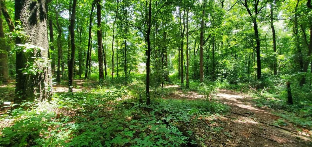 +/-.78ac - 3939 US 64 Highway W #5 Mocksville NC - Davie Co