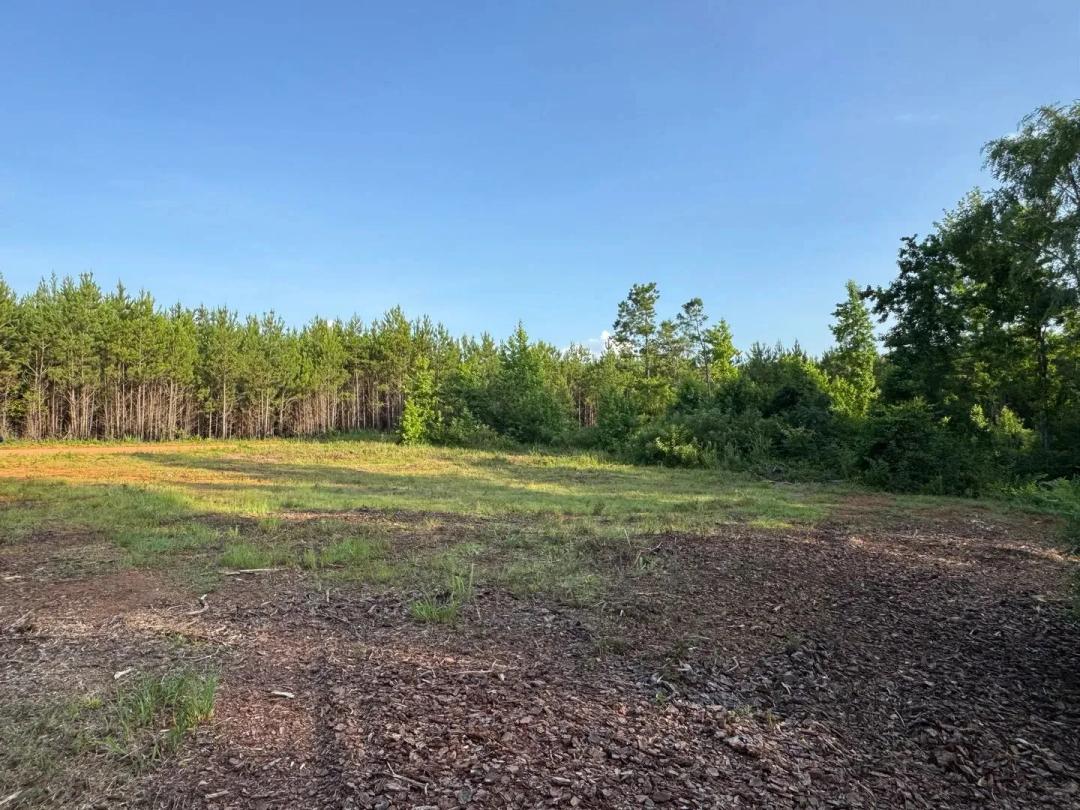 11.34 +/- Acres, Camp Hill, Tallapoosa County, AL