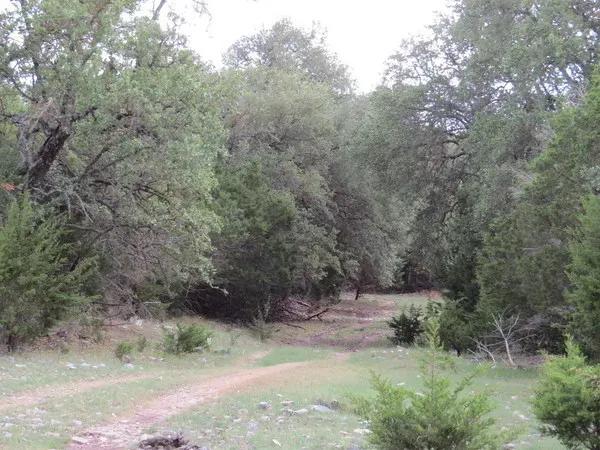 West Nueces Ranch 106.49 Acres Water and Electric Available