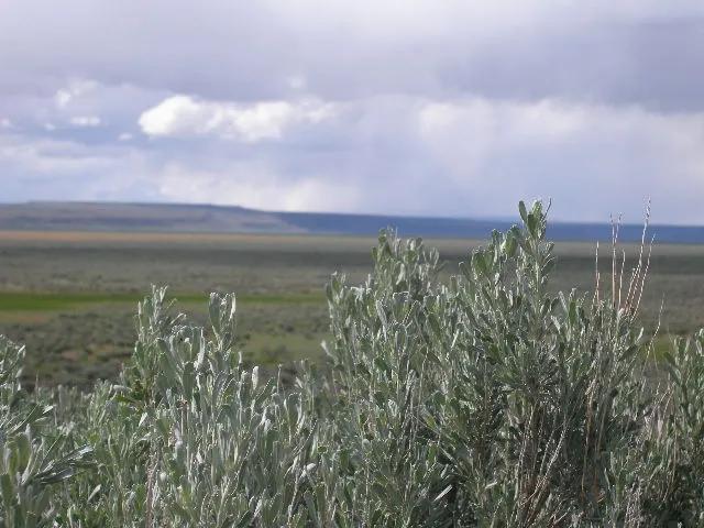 80 acres near Guano Canyon in the Oregon Outback of Lake County