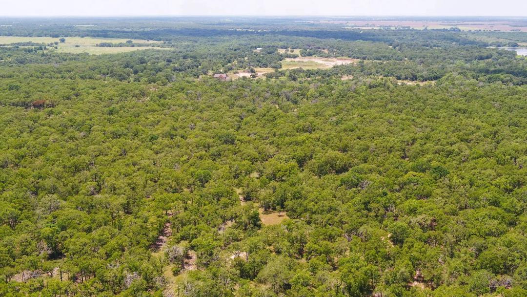 10 Acres in Milam County - Tract 14