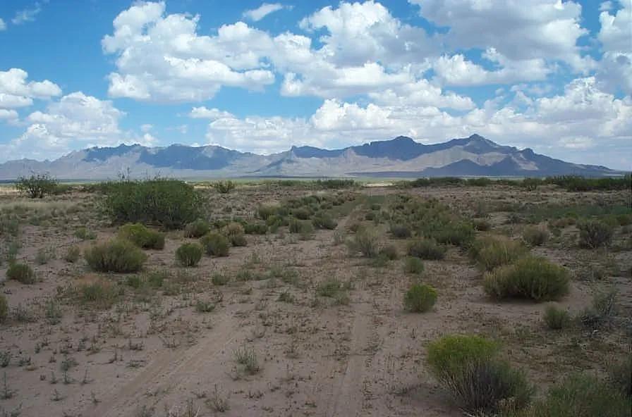 10 acres of affordable New Mexico Desert