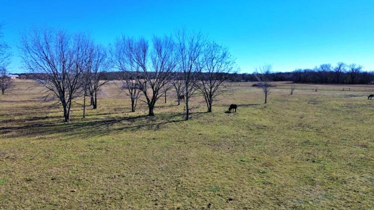 25 acres with paved road access in Callisburg, TX