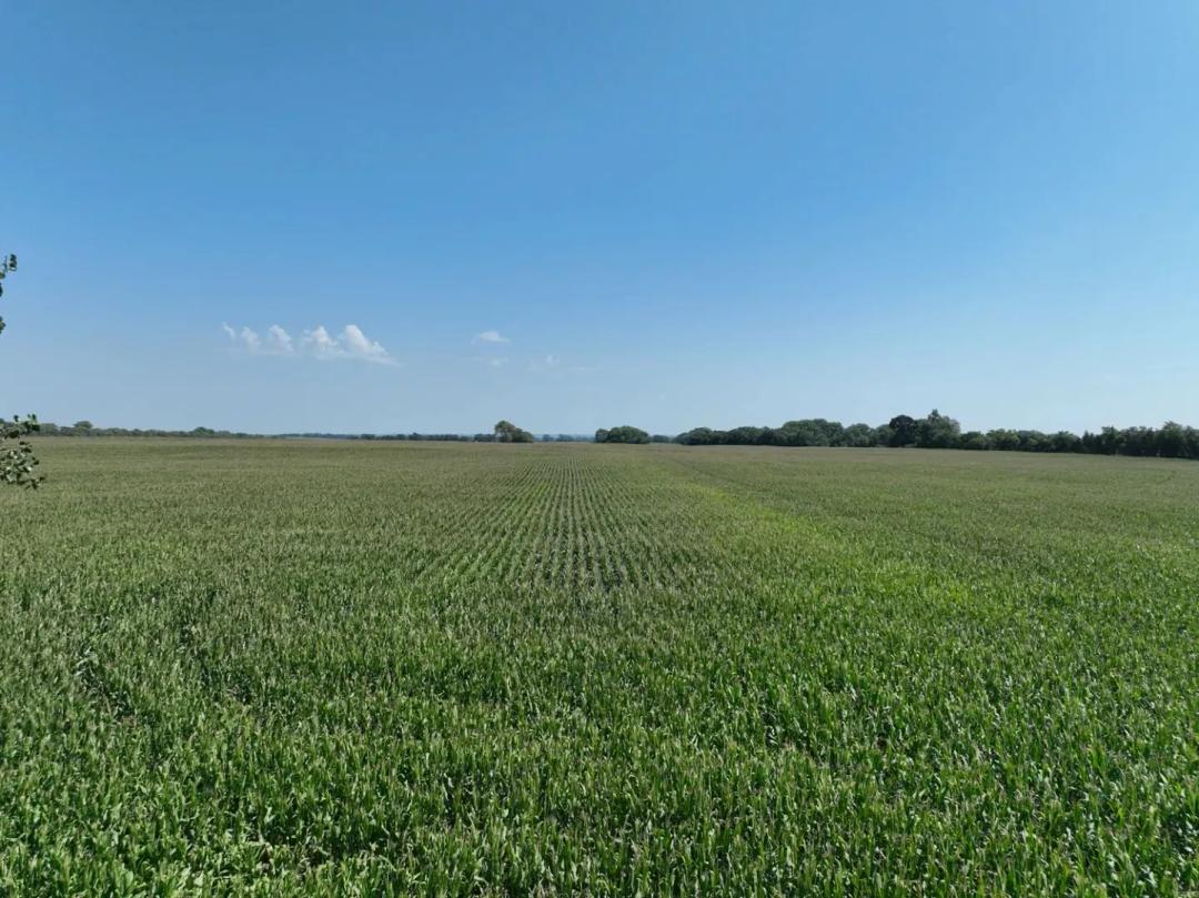 Land For Sale | 160+/- Acres | Stanton County, NE