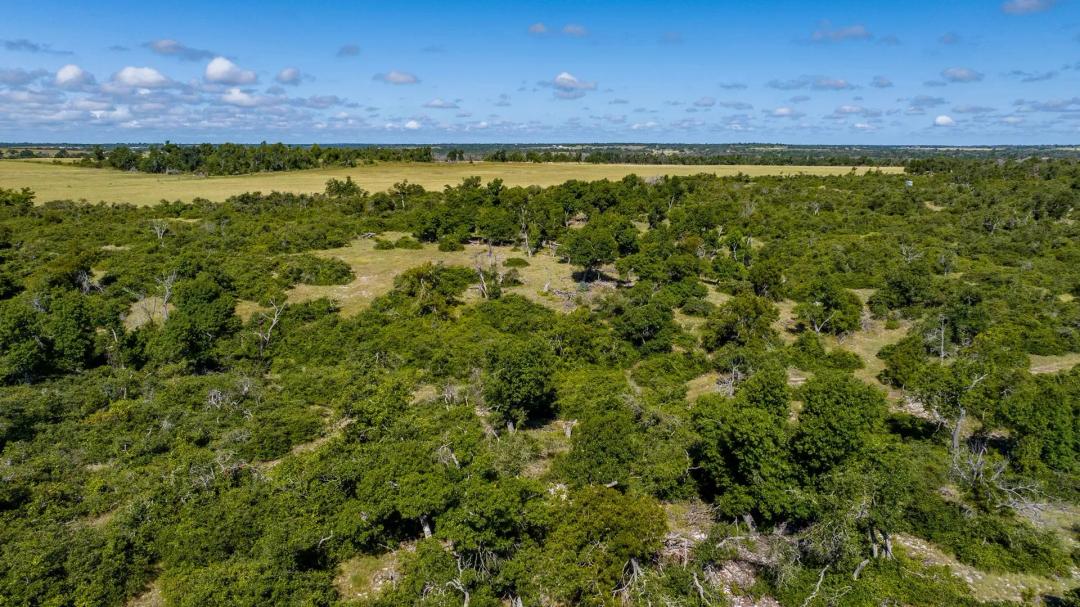 875 Gypsum Mine Road